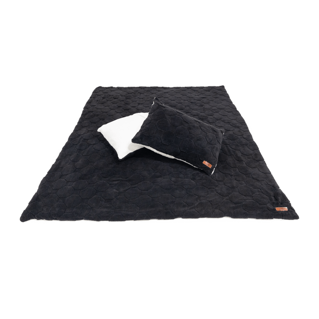 Freespirit Recreation Cloud Comforter & Pillow Case Set