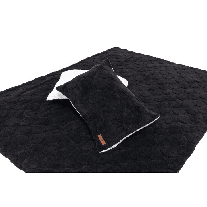 Freespirit Recreation Cloud Comforter & Pillow Case Set