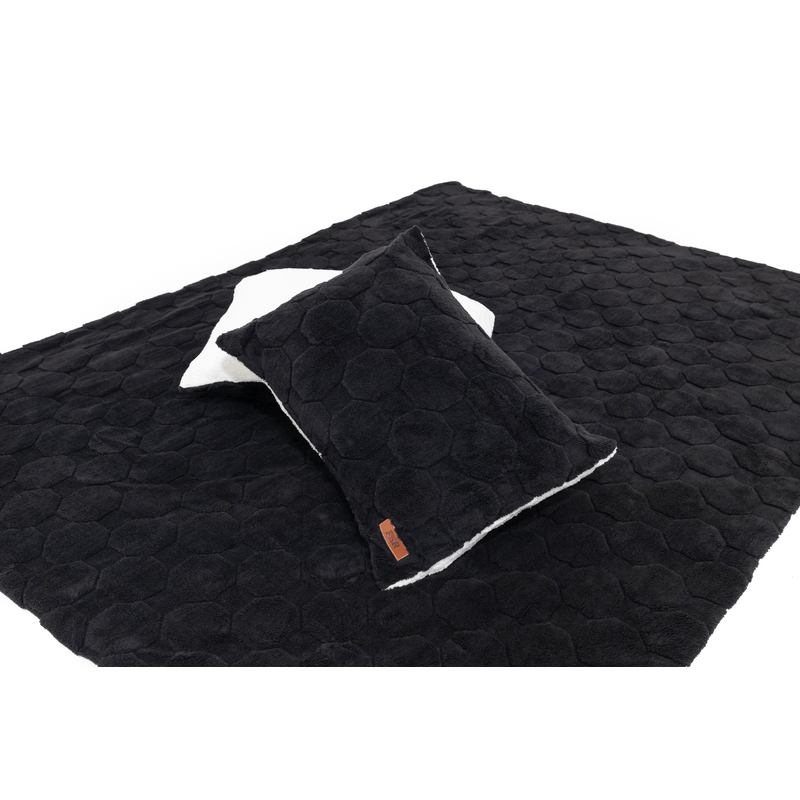 Freespirit Recreation Cloud Comforter & Pillow Case Set