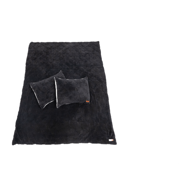 Freespirit Recreation Cloud Comforter & Pillow Case Set