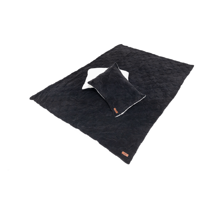 Freespirit Recreation Cloud Comforter & Pillow Case Set