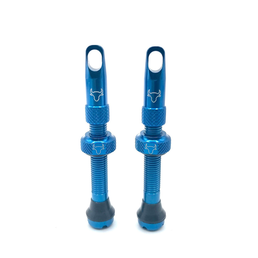 Hold Fast 42mm Insert Compatible Tubeless Valves in 16 Colors