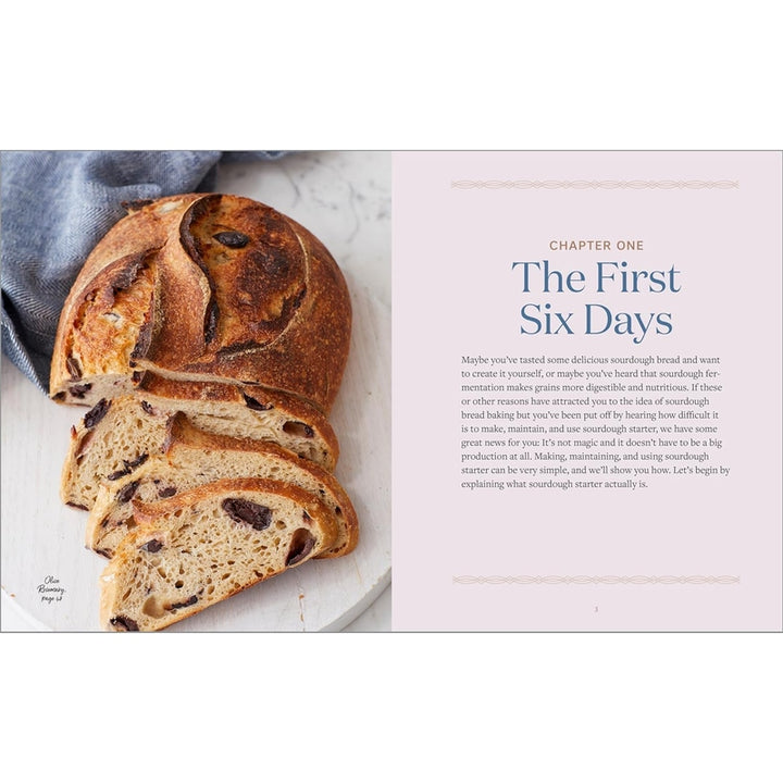 Sourdough Cookbook for Beginners Spiral Bound