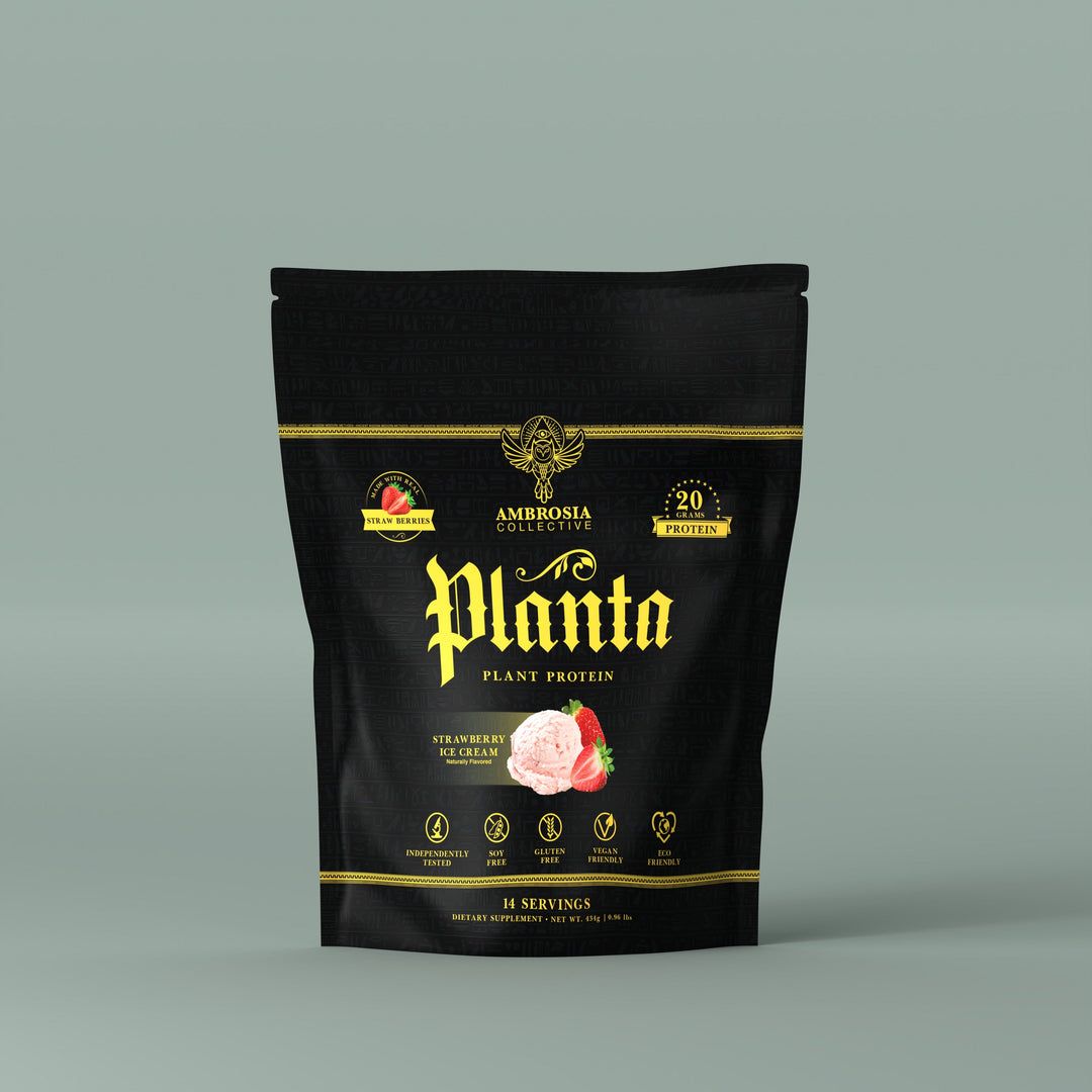 Planta® - Vegan Plant Protein Powder (14 Servings)