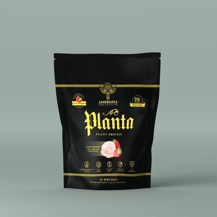 Planta® - Vegan Plant Protein Powder (14 Servings)