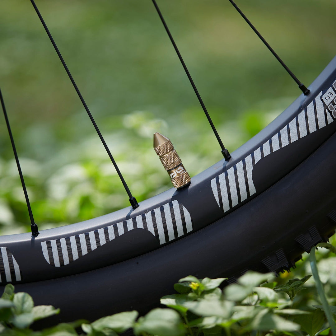 e*thirteen Quick Fill Schrader Tubeless Valves