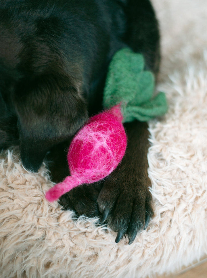 Wool Dog and Cat Toy for Farm-Fresh Fun