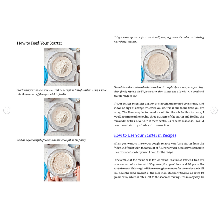 The Sourdough Whisperer Spiral Bound