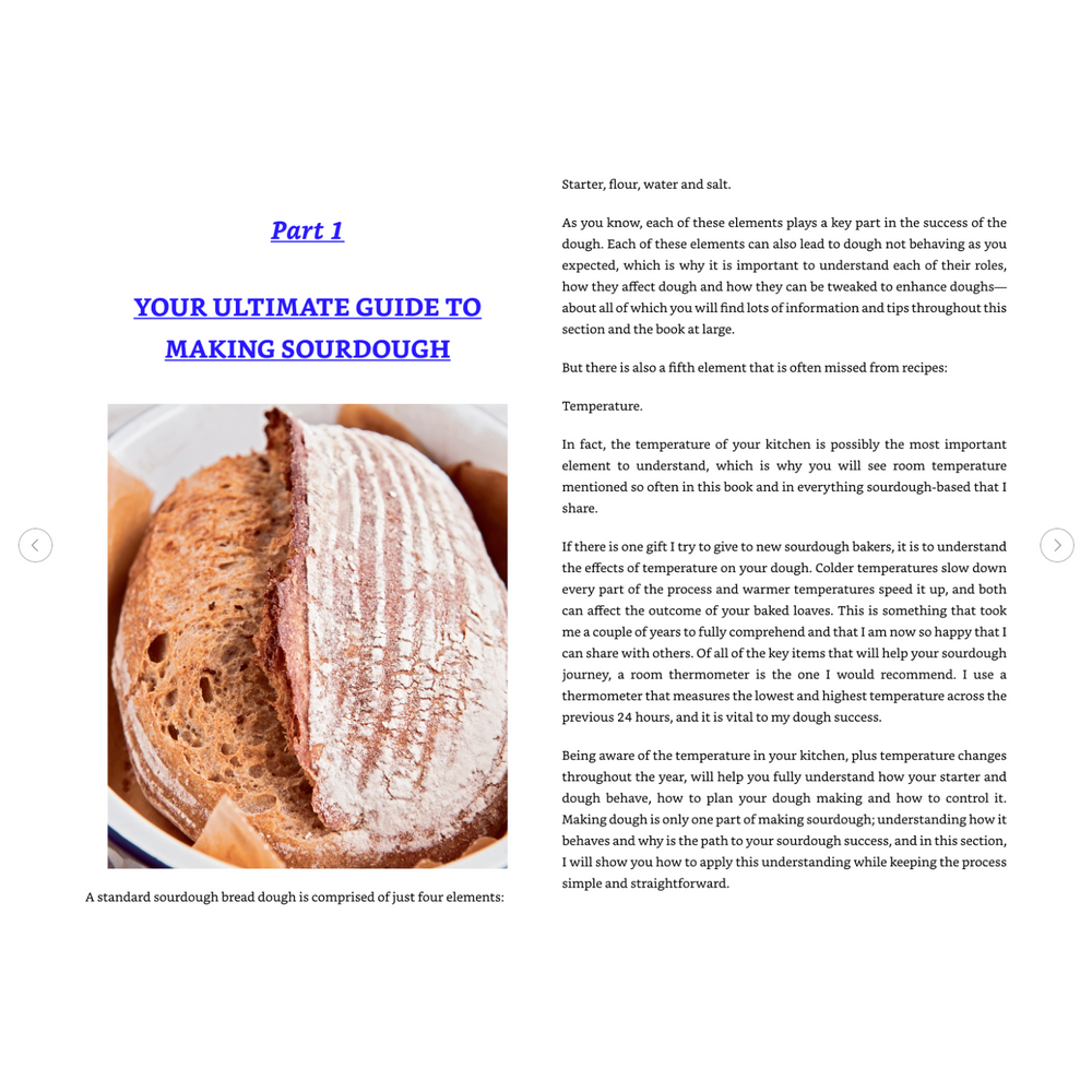 The Sourdough Whisperer Spiral Bound