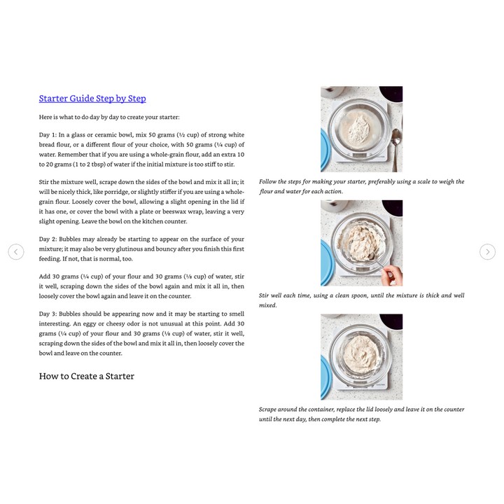 The Sourdough Whisperer Spiral Bound