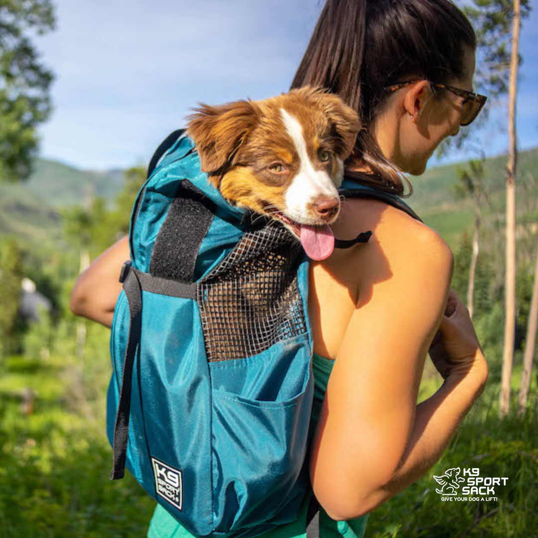 K9 Sport Sack Trainer | Puppy & Small Dog Carrier