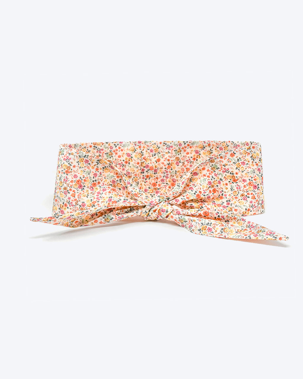 Adventure Necktie for Dogs and Pets - Unique Design