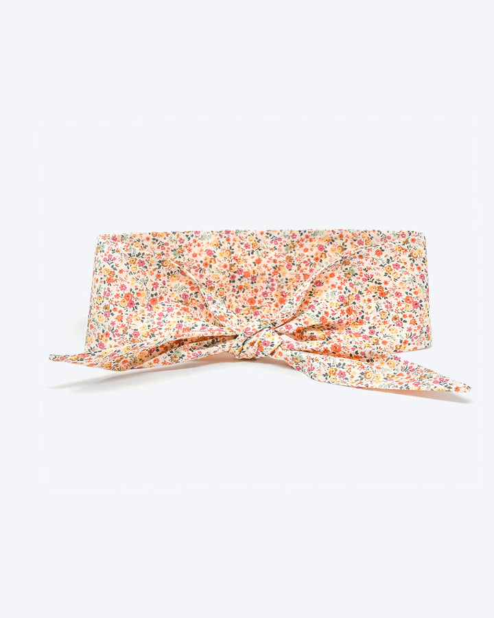 Adventure Necktie for Dogs and Pets - Unique Design