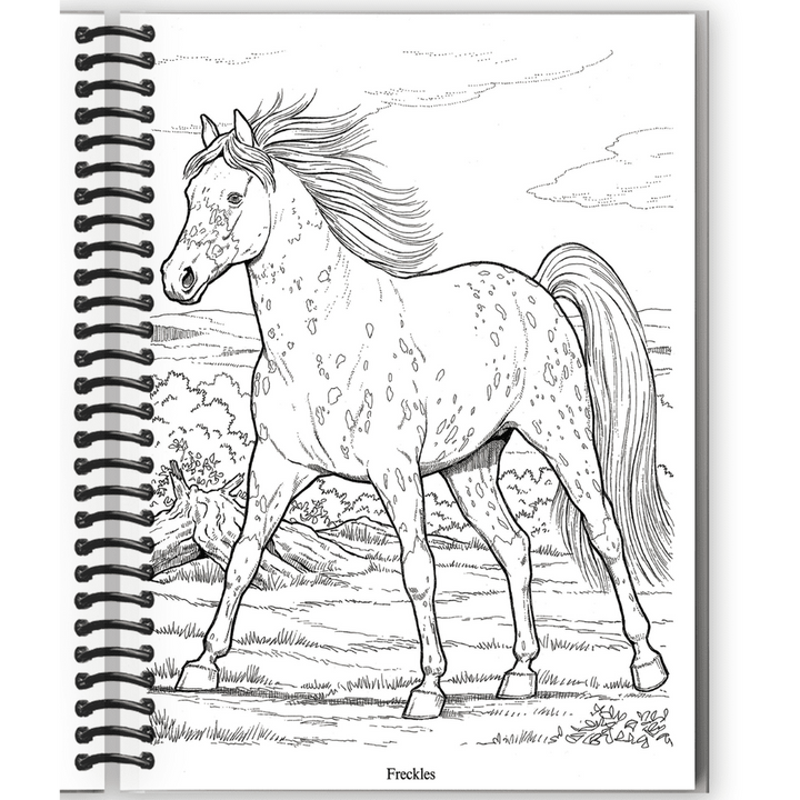 Wonderful World of Horses Coloring Book Spiral Bound