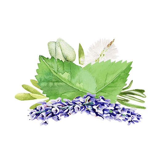 Rustic Strength Aromatherapy Blend of Essential Oil