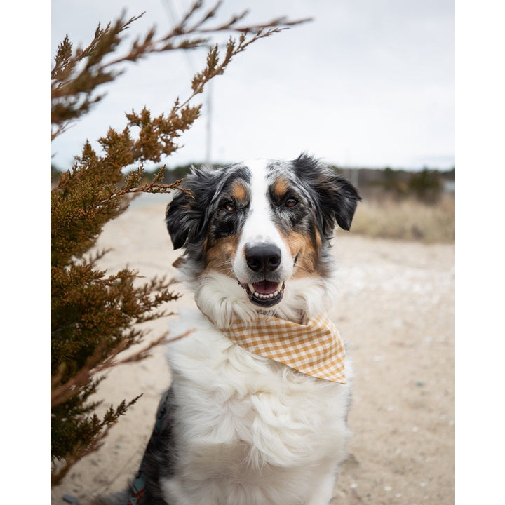 GINGHAM BANDANA