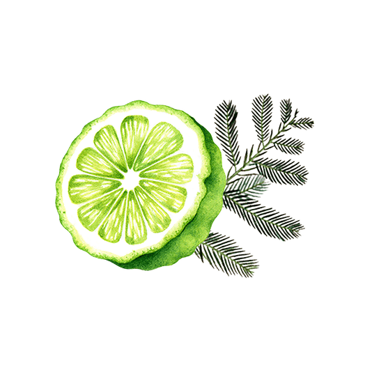 Rustic Strength Bergamot & Cypress Essential Oil Blend