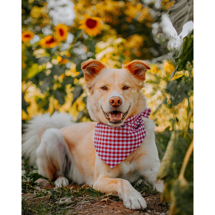 GINGHAM BANDANA
