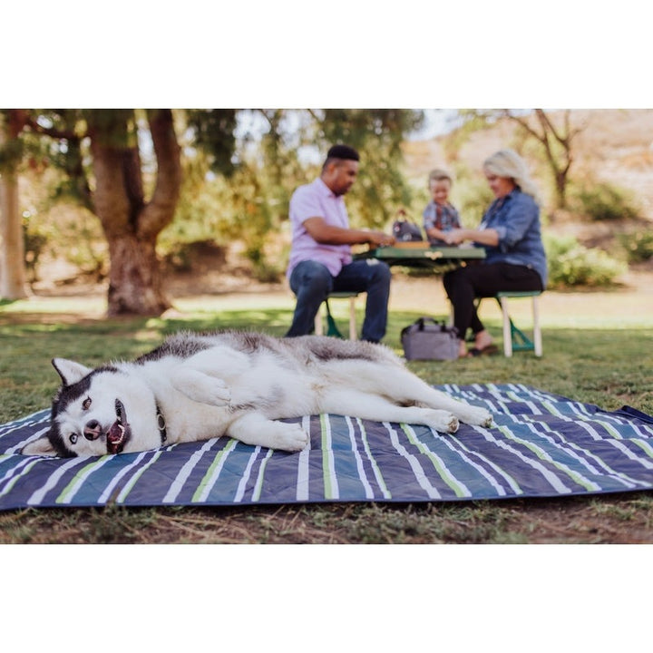 Vista Outdoor Picnic Blanket & Tote