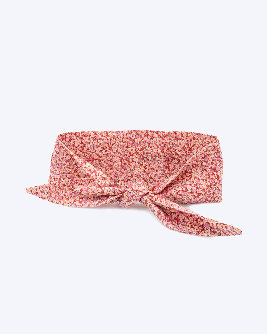 Adventure Necktie for Dogs and Pets - Unique Design