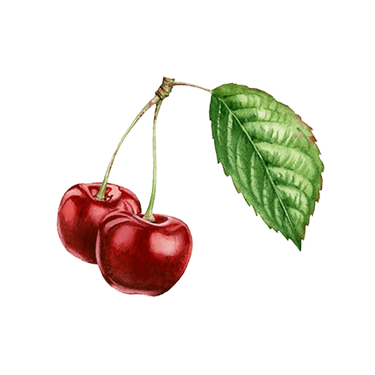 Rustic Strength Cherry Bitter Almond Essential Oil