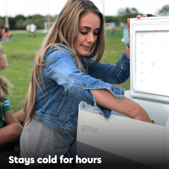 Chill Electric Cooler Without Ice - GoSun