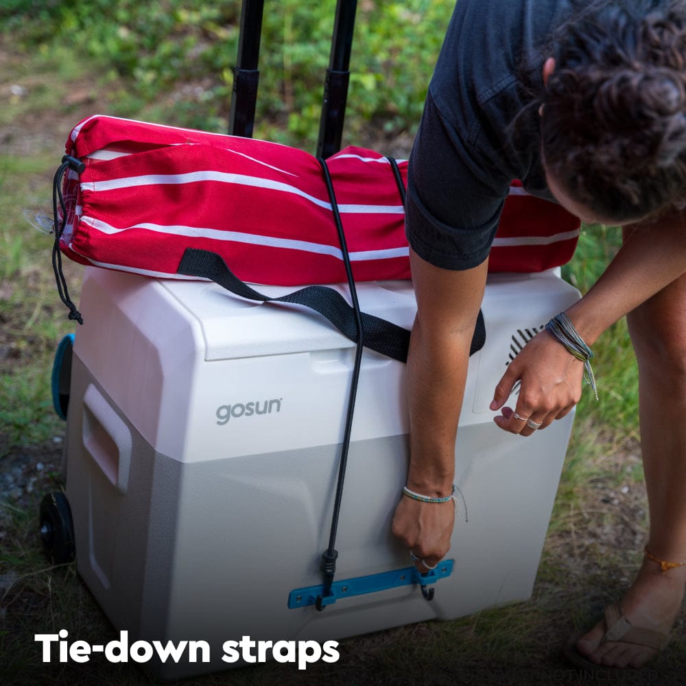 Chill Electric Cooler Without Ice - GoSun