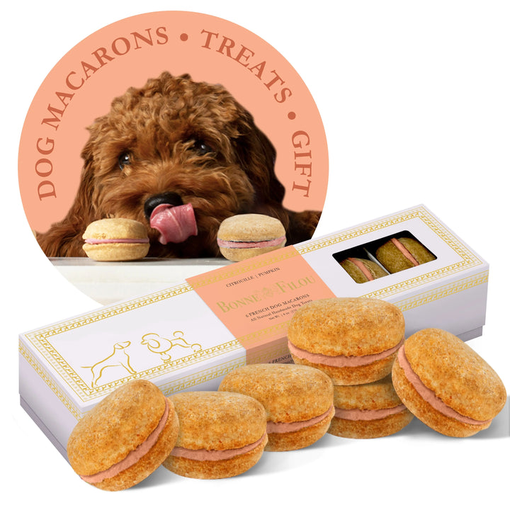 Bonne et Filou Dog Macarons Box of 6