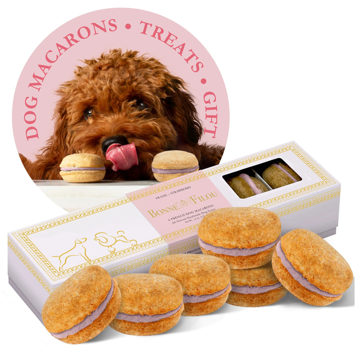 Bonne et Filou Dog Macarons Box of 6