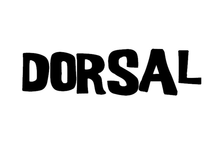 DORSAL SUP Surf Leash 10' Coiled for Paddle Boarding