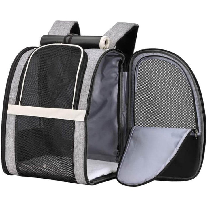 Texsens Innovative Traveler Bubble Backpack Pet Carriers for Cats and Dogs Black