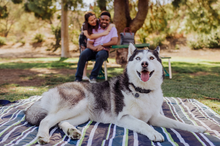 Picnic Time Vista Outdoor Picnic Blanket & Tote