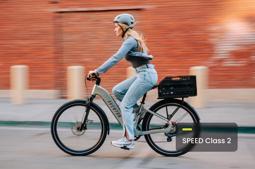 Aventon Level.3 E-Bike Step-Over