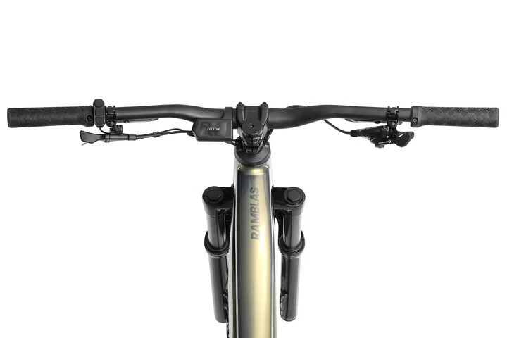 Aventon RAMBLAS eMTB