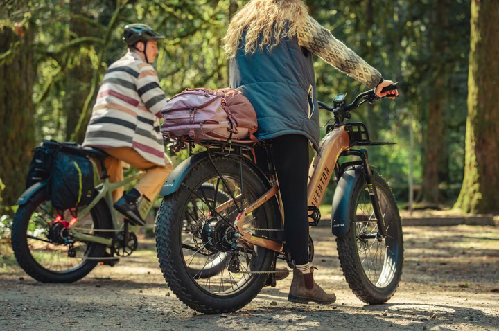 Aventon Aventure.3 E-Bike Step-Through