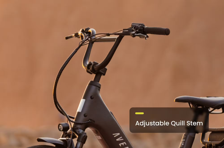 Aventon Abound LR Cargo E-Bike