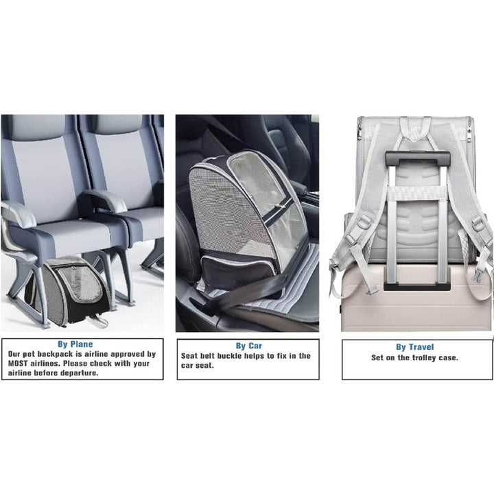 Texsens Innovative Traveler Bubble Backpack Pet Carriers for Cats and Dogs Black