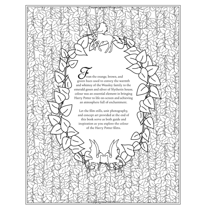 Harry Potter Coloring Book Spiral Bound