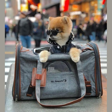 Mr. Peanut's Gold Series Standard Size Airline Compliant Pet Carrier
