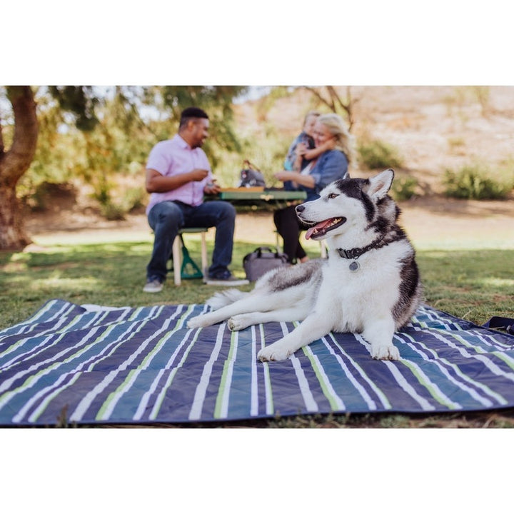 Vista Outdoor Picnic Blanket & Tote