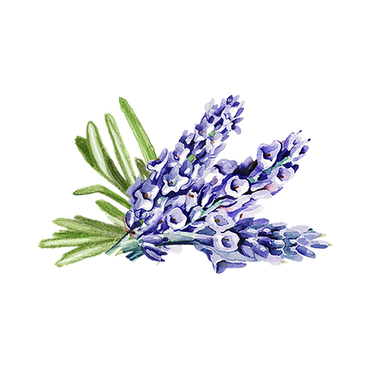 Rustic Strength Lavender & Rosemary Essential Oil Blend