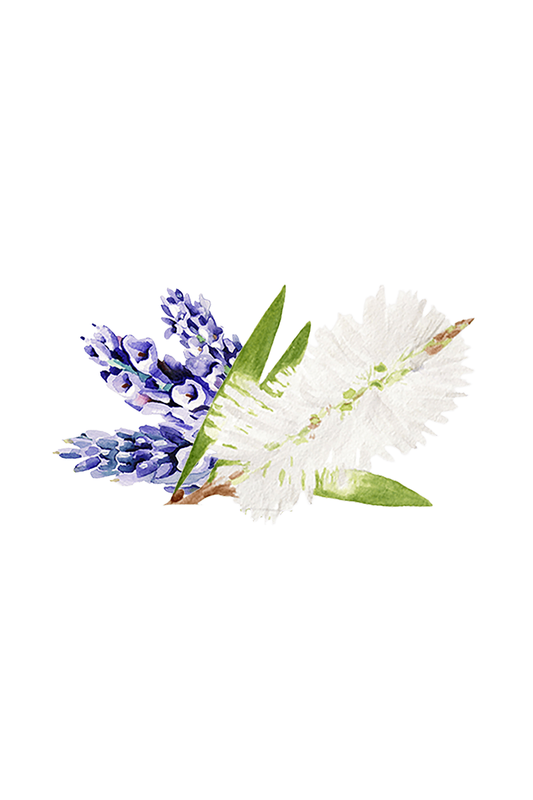 Rustic Strength Lavender & Tea Tree Essential Oil Blend