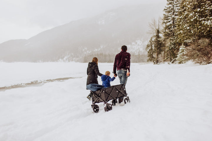 Picnic Time Adventure Wagon All-Terrain Portable Utility Wagon