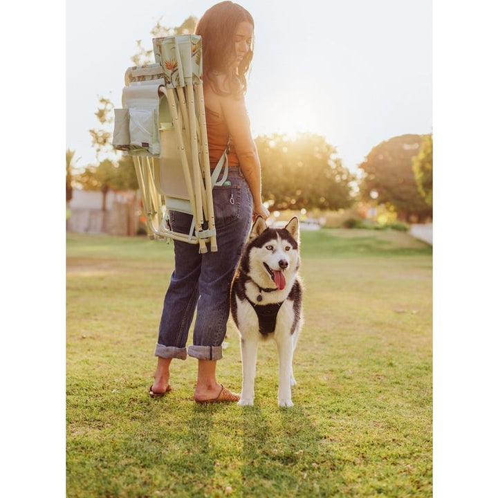 Outdoor Directors Folding Chair