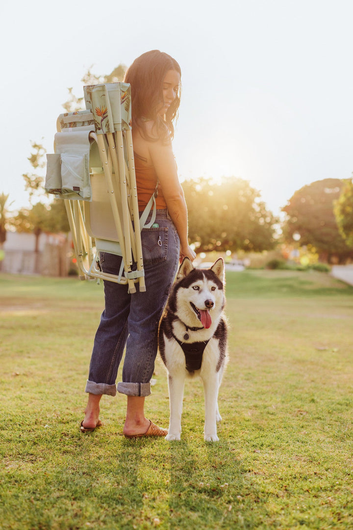 Picnic Time Outdoor Directors Folding Chair