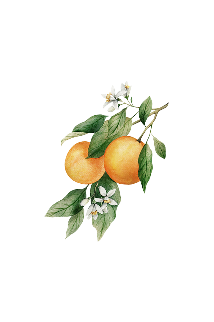 Rustic Strength Orange Essential Oil