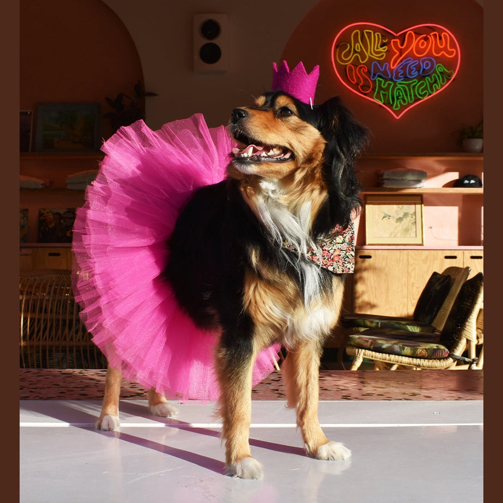 BRIGHT PARTY CROWNS