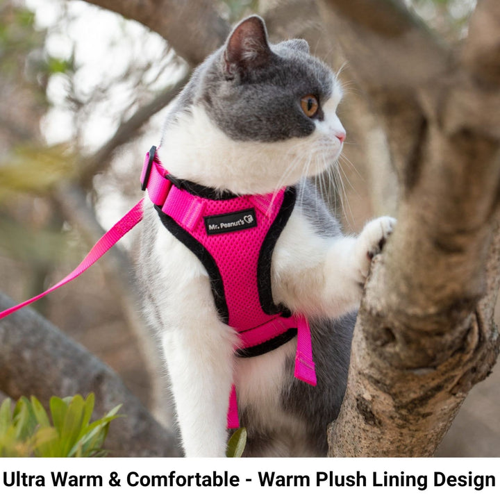 Mr. Peanut's PurrTrek Reflective Cat Harness with Matching Leash