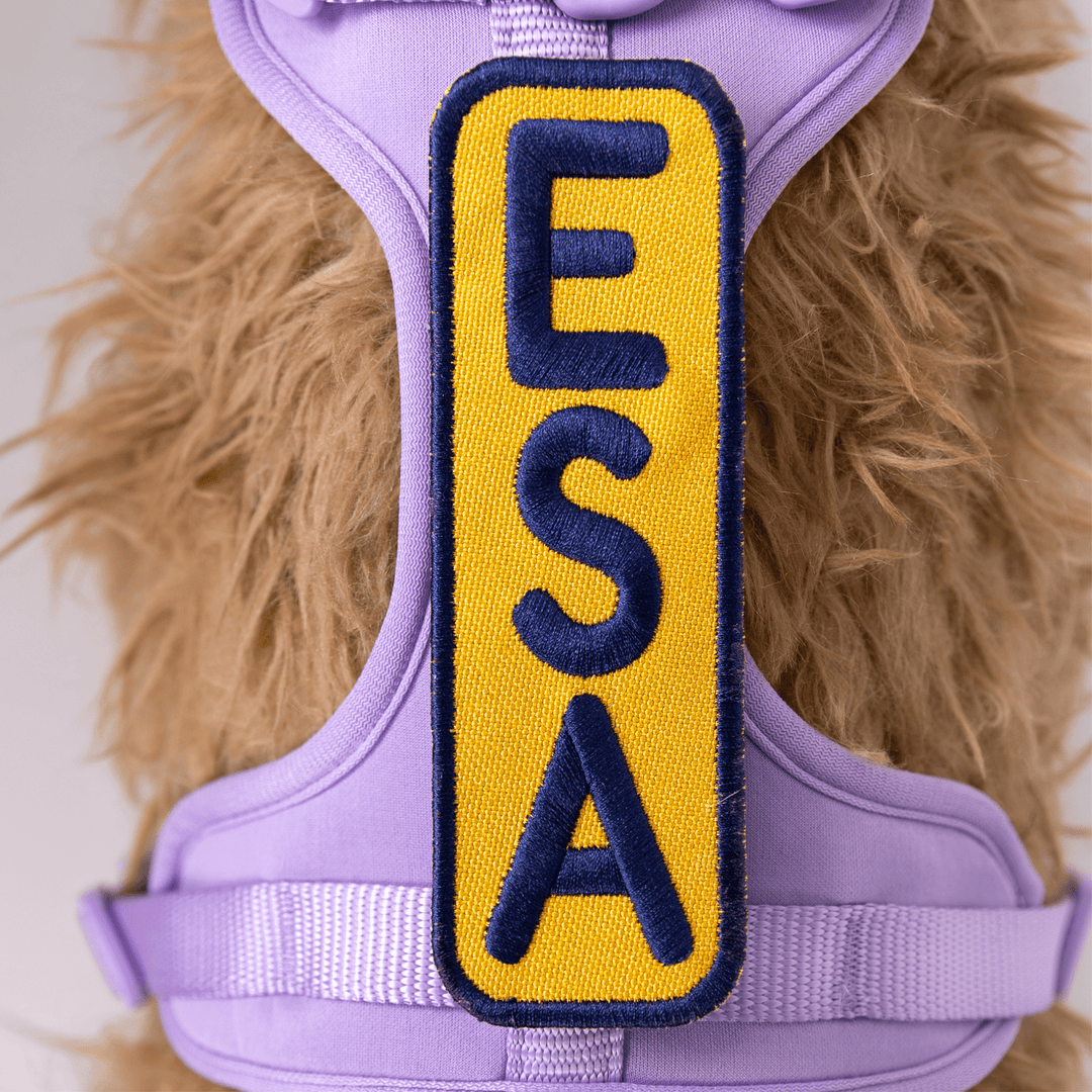 K9 Sport Sack ESA 2x6 Patch