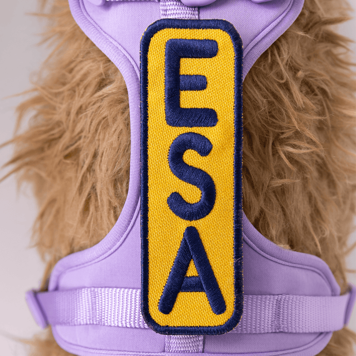K9 Sport Sack ESA 2x6 Patch